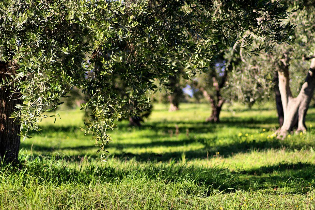 Mater Bed & Food-riserva Naturale Di Torre Guaceto Serranova