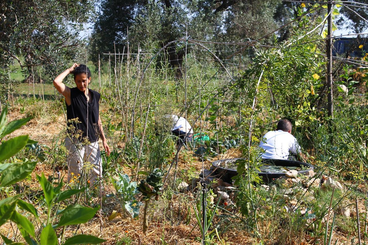 Mater Bed & Food-riserva Naturale Di Torre Guaceto Bed & Breakfast Serranova