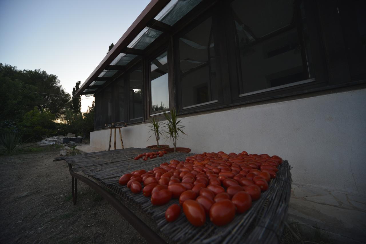 Mater Bed & Food-riserva Naturale Di Torre Guaceto Bed & Breakfast Serranova